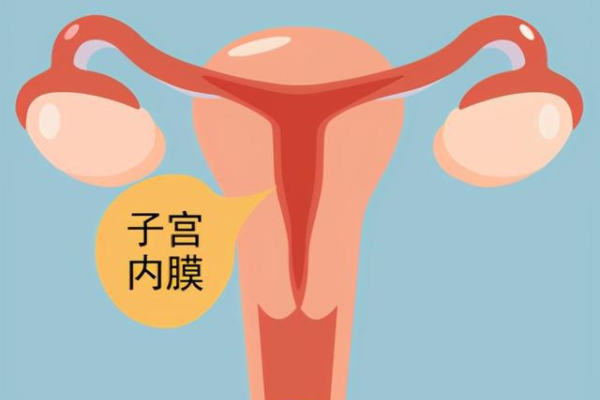 试管婴机构广州（广州合法供卵试管中心）