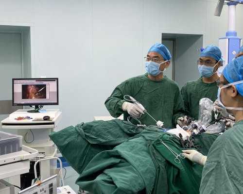 吃素多年备孕未孕？探究女性生育能力与素食的关联，不孕原因排查助您好孕