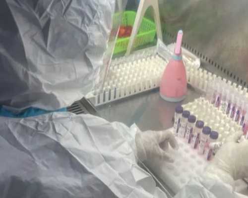 探秘广州高成功率的辅助生殖技术