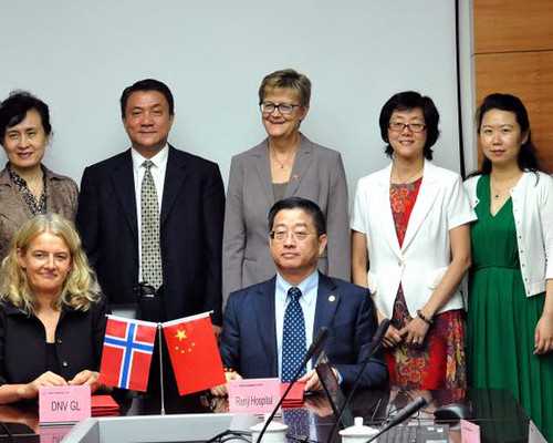 调经养血，女性经期饮用菊花枸杞茶的注意事项