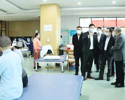 第三代辅助生殖技术性别选择与供卵移植成功率解析