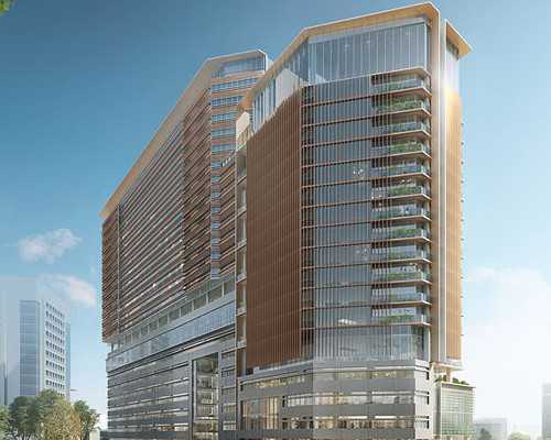 高龄男性科学备孕的智慧分享