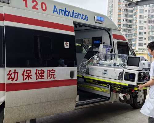 广州供卵成功率揭秘：母子真诚互动，辅助生殖助您好孕