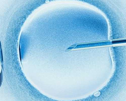 广州供卵试管婴儿助孕：解析第三代试管婴儿技术与性别选择