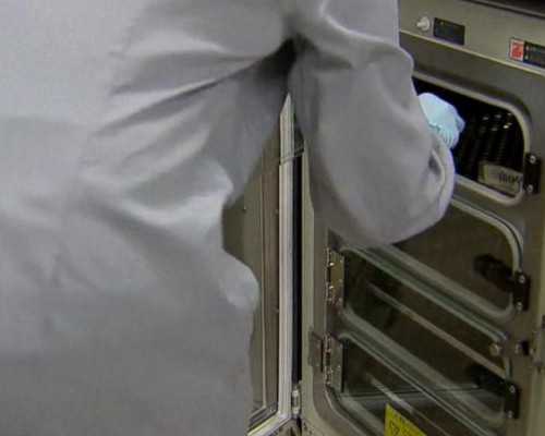 揭秘海外同性结婚与生育：解析加拿大领证流程及生育费用