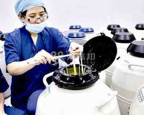 广州供卵中心价格,广州做试管婴儿需要多少钱？2026
试管收费贵不贵？-上海供