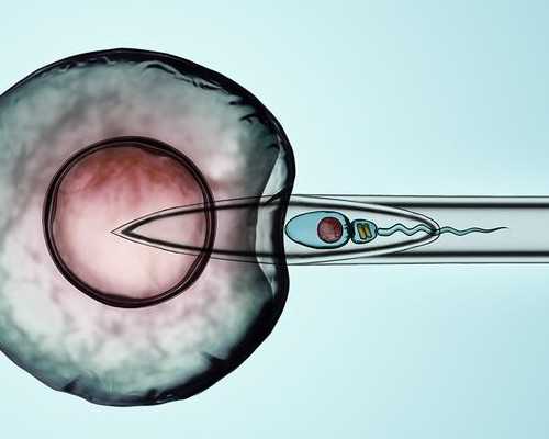 广州供卵生育,试管婴儿知识讲座_不孕不育检查需要多少钱?广州中山医院告诉你