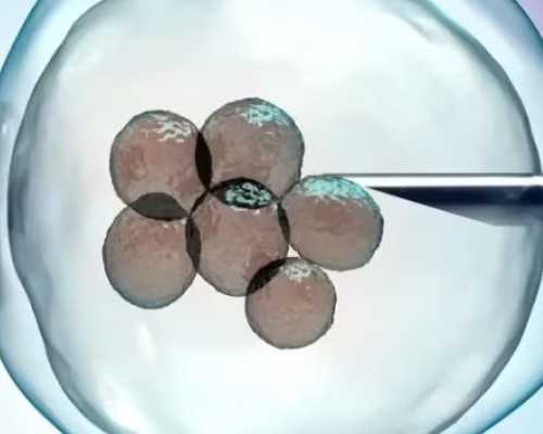 广州连锁经营协会 广州市连锁协会会长）