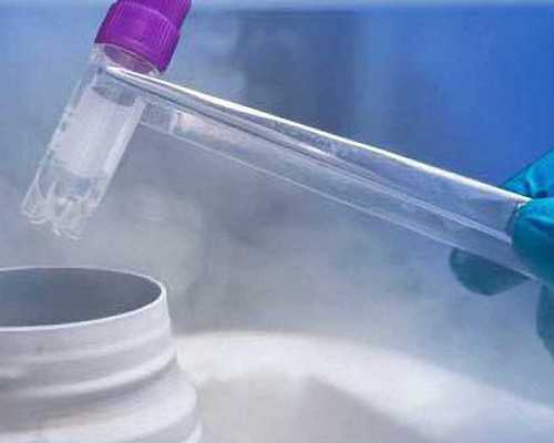 继发性不孕能否通过辅助生殖技术助孕？