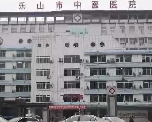 试管孕育双胞胎：体重与备孕的科学考量