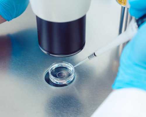 弱精症做试管婴儿是否需要进行染色体检查？供卵试管婴儿的疑问解答