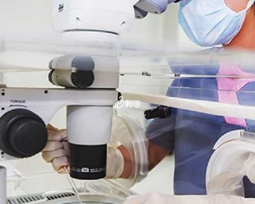 广州试管助孕：经期检查与AMH值解读，助您开启辅助生殖之旅