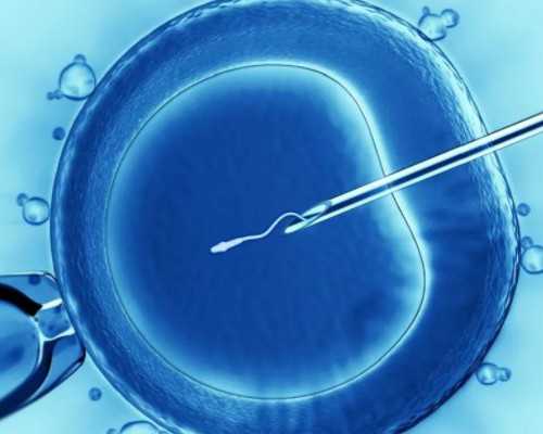 第三代试管胚胎筛查成功率如何？囊胚筛查通常在哪个阶段进行？