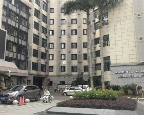 提升母乳喂养的孕期准备与技巧