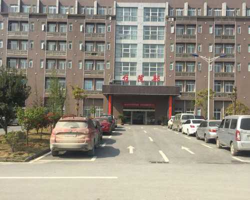 人工授精精子来源解析：质量达标是关键