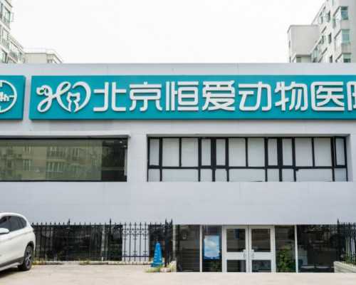 广州代孕公司解析：2026年成都试管婴儿费用与上海供卵试管前景