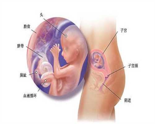 广州代孕总部在哪_广州代孕机构那个靠谱_广州代