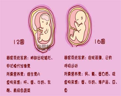 <b>广州代生儿子正规吗_广州代孕公司_广州代孕生殖</b>