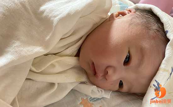 丽水借卵生子的经验_武汉同济三代试管婴儿费用多少钱？
