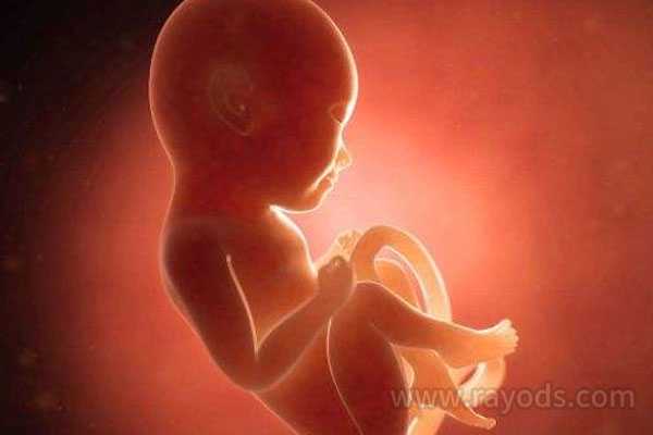 通化借卵子生子之后_试管婴儿移植多个胚胎，成功率会高吗？