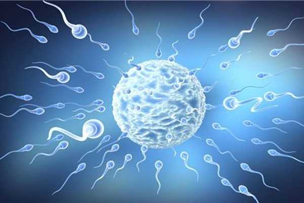 惠州44岁供卵的成功率_惠州48岁打卵巢干细胞_广州三代试管孕育健康宝宝，流程