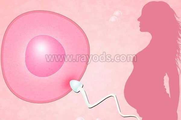 玉溪借卵生子检测dna像谁_试管婴儿胚胎和女性身体条件都挺好的能成功么