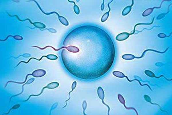 泰州哪里可以借卵生子_泰州借卵生子成功率有多高_试管婴儿对精子有哪些要求